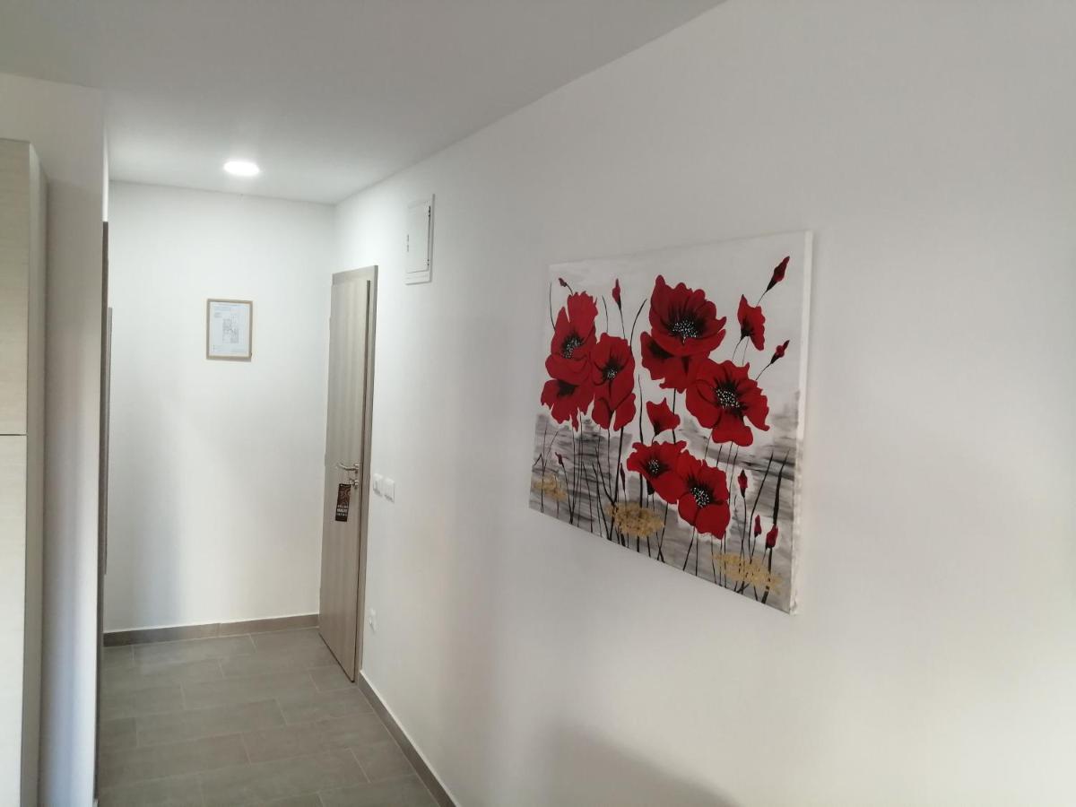 Studio Istra Rovinj Kültér fotó